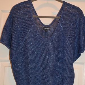 🌟FINAL MARKDOWN 🌟Express Blue Sheer Top